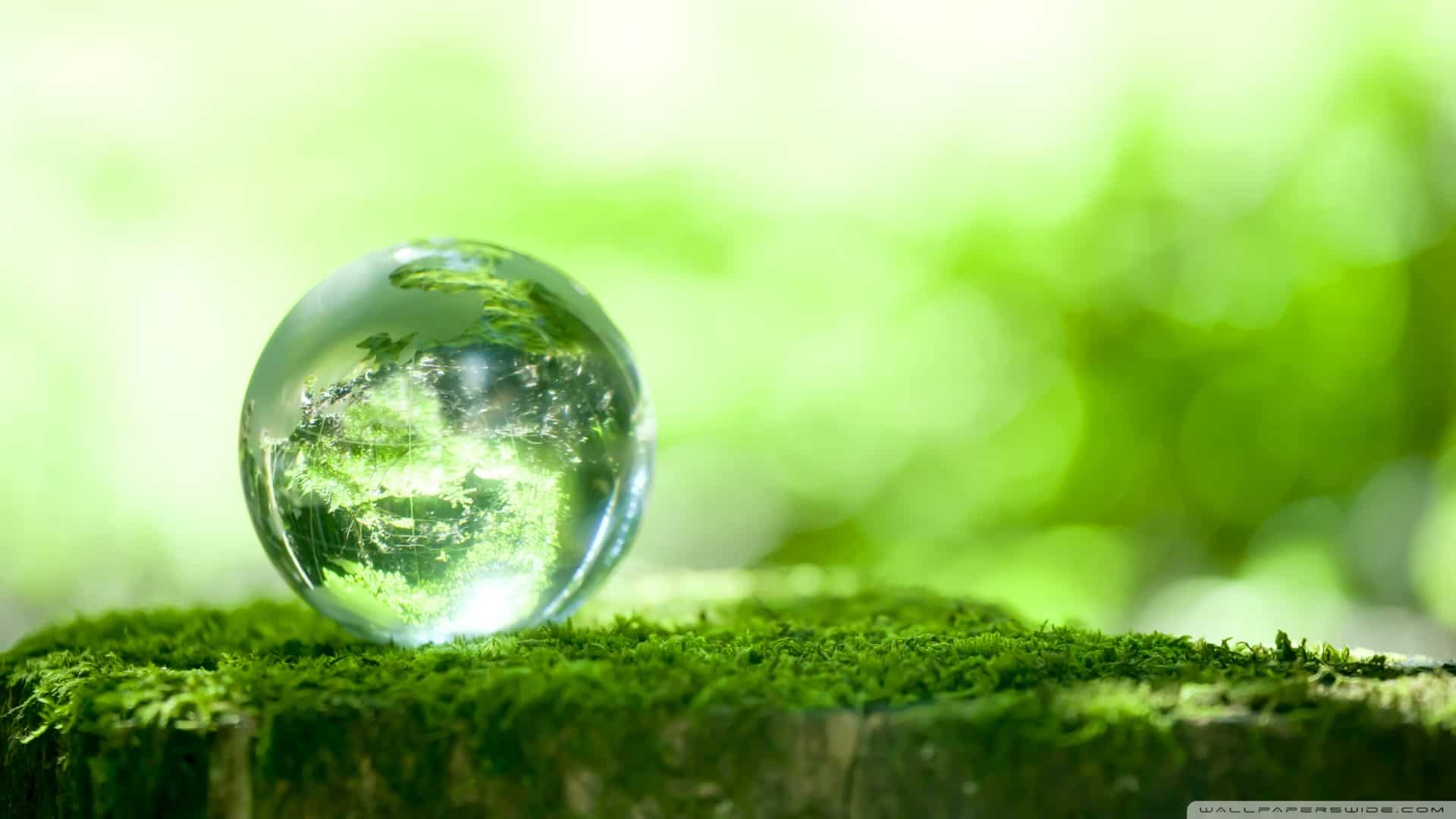 Read more about the article Synagogues