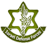 Read more about the article israel defense forces